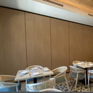 Acousti-Clear Motorized Solid Panel Partitions